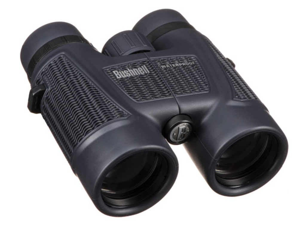 Bushnell H2O 8x42
